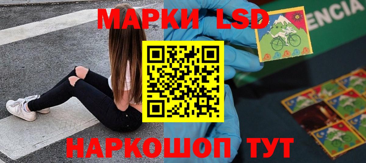 Новороссийск  Лсд 25 экстази ecstasy  LSD-25 экстази ecstasy  Вход с VPN 